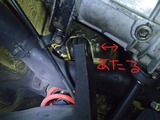62503ae8.jpg