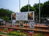 2010060501