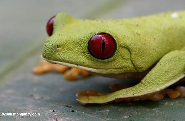 costa_rica_5858a
