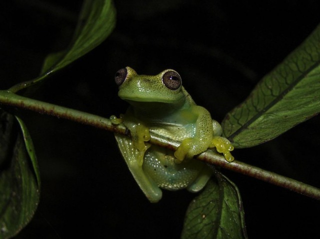 cover-r4x3w1000-5abe04e0b7d59-000-13c6yu