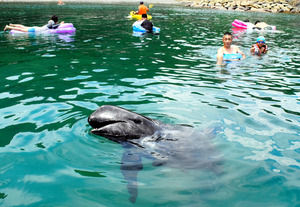 AS20180712002412_commL