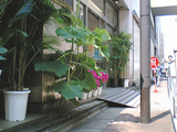 2TS350550