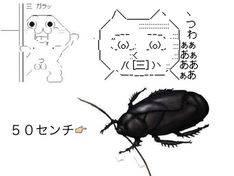 スライド8