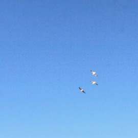 skyhigh
