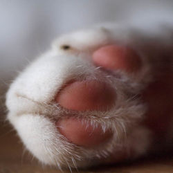 hand2