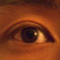 eye