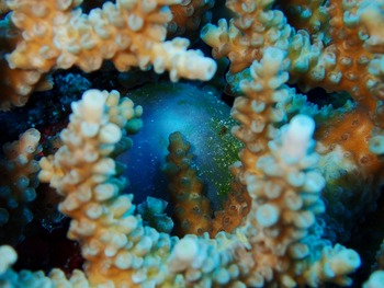 P7030146
