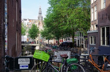 IMGP3574