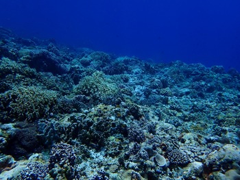 P7030131
