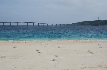 IMGP5418