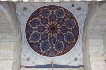 IMGP3187