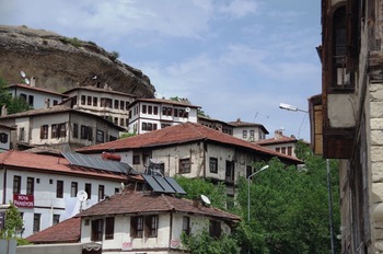 IMGP1959