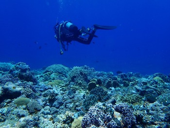 P7030134