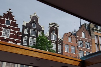 IMGP3487