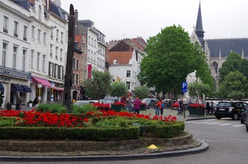 IMGP4495
