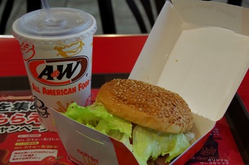 IMGP5538