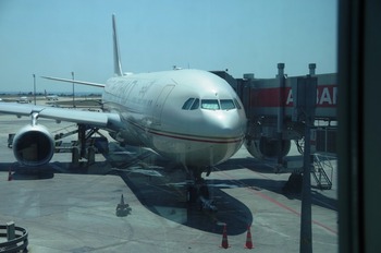 IMGP3247