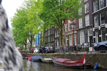 IMGP3495