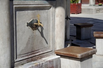 IMGP3186