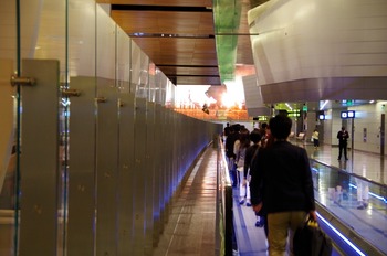 IMGP3294
