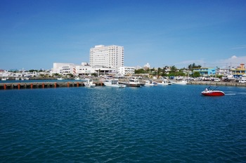 IMGP4833