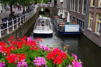 IMGP3680
