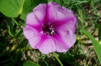 IMGP4747