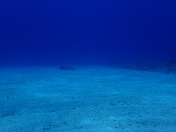 P7030107