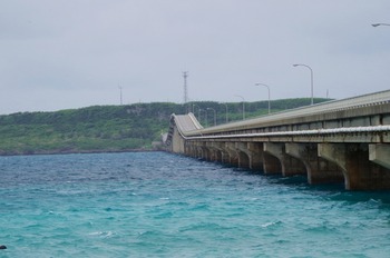 IMGP5514