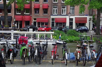 IMGP3406