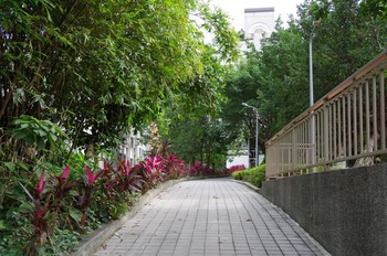 IMGP7927