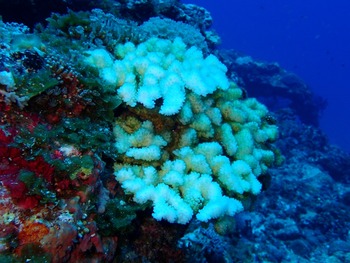 P7030150