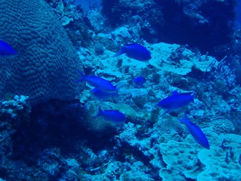 P7030171