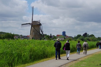 IMGP3725