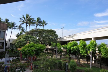 IMGP1680