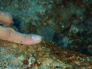 P7030024