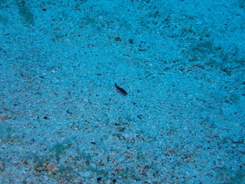 P7030097