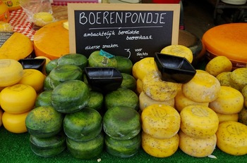 IMGP3661