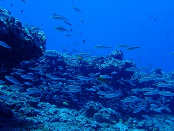 P7030074