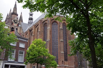 IMGP3666