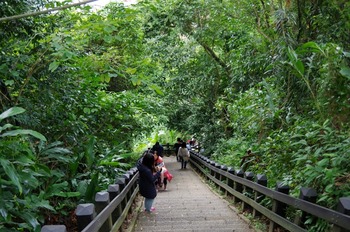 IMGP7978