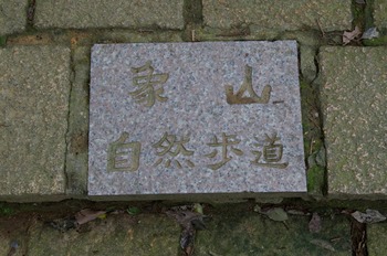 IMGP7944