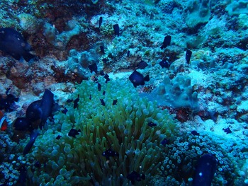 P7030014