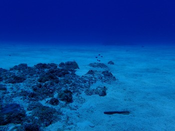 P7030114
