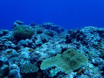 P7030139