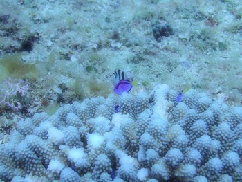 P7030058
