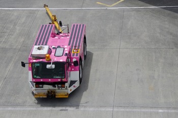 IMGP5581