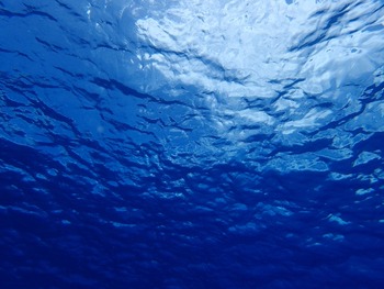 P7030124