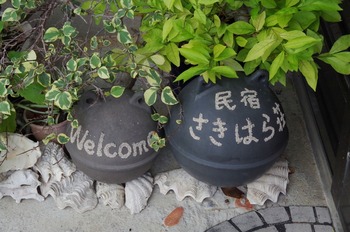 IMGP0987