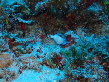 P7030094